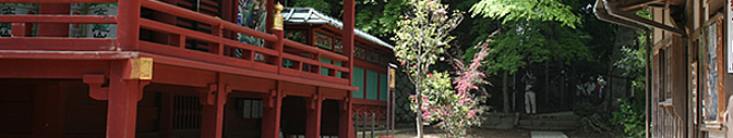 Shojin-ryori