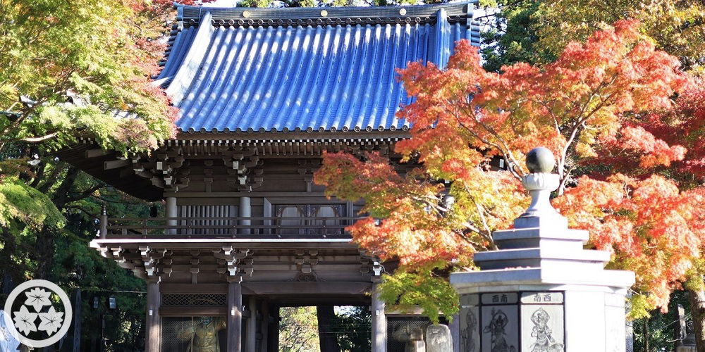 秋-山門と紅葉