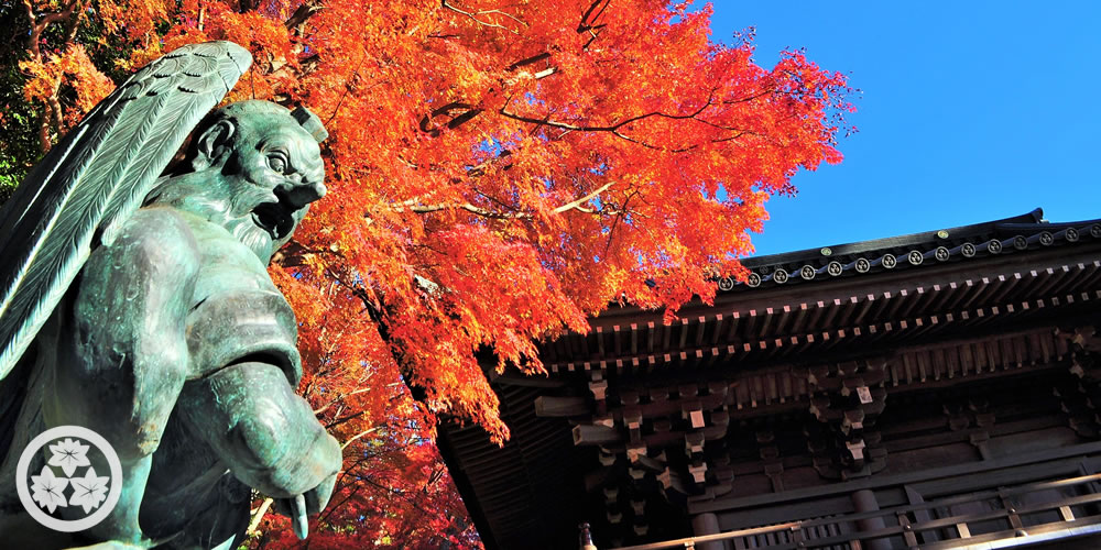 紅葉