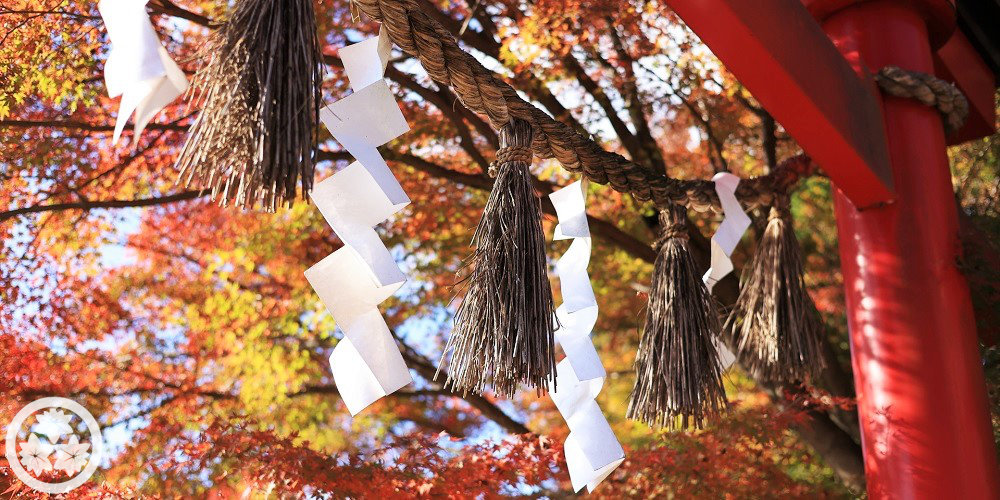 秋-本社鳥居と紅葉