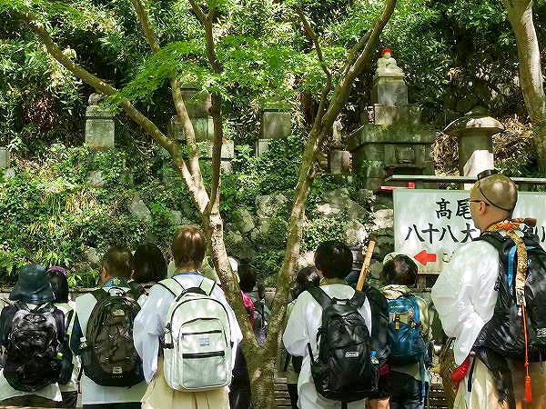 上画像