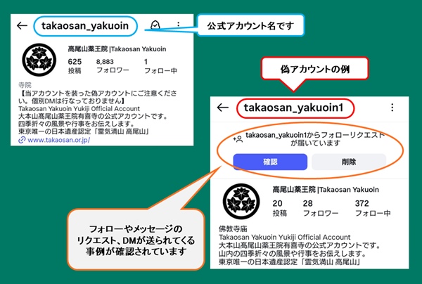上画像